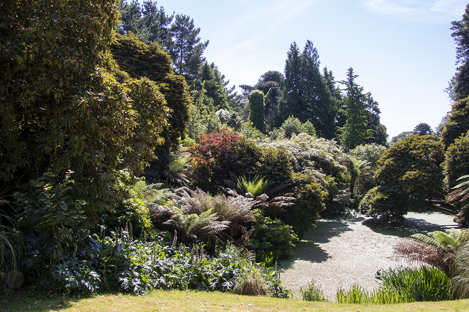 Read more about the article Visiting the Lost Gardens of Heligan