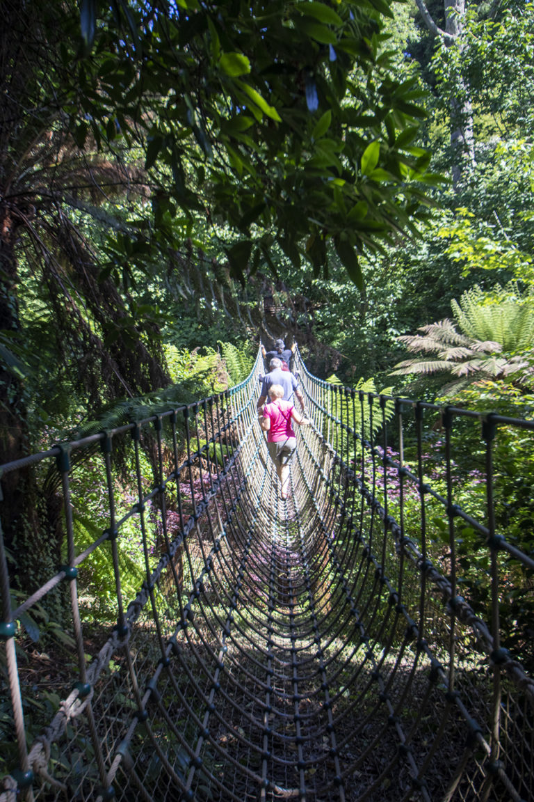 2018 LGH Rope bridge 3124